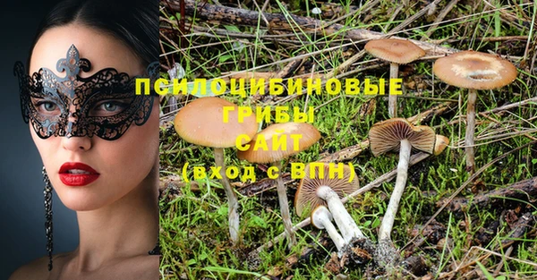 гашик Алзамай