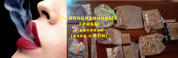 гашик Алзамай