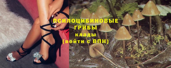 a pvp Новодвинск