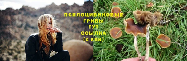 гашик Алзамай