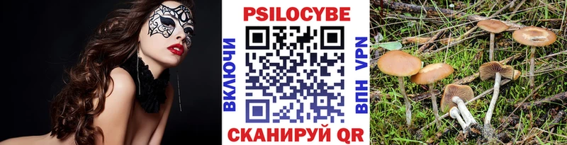 Псилоцибиновые грибы Cubensis  купить   Менделеевск 